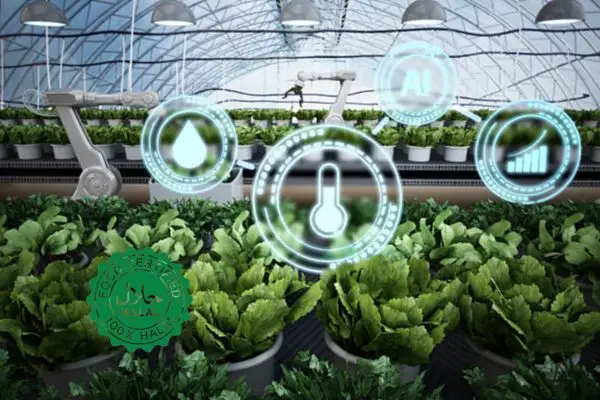 Modern agritech and food safety translation services, showing a digital farming interface and Halal certification seal for global export compliance.