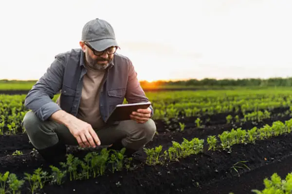 Agronomist using a tablet to monitor precise field data.