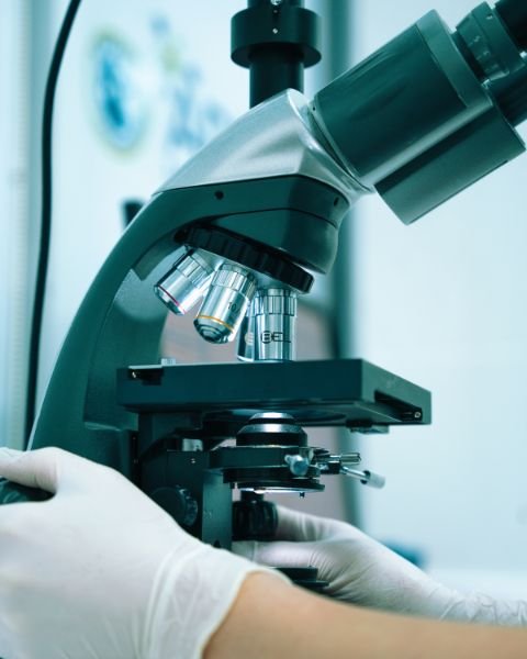 High-precision pharmaceutical and life sciences content localization services.