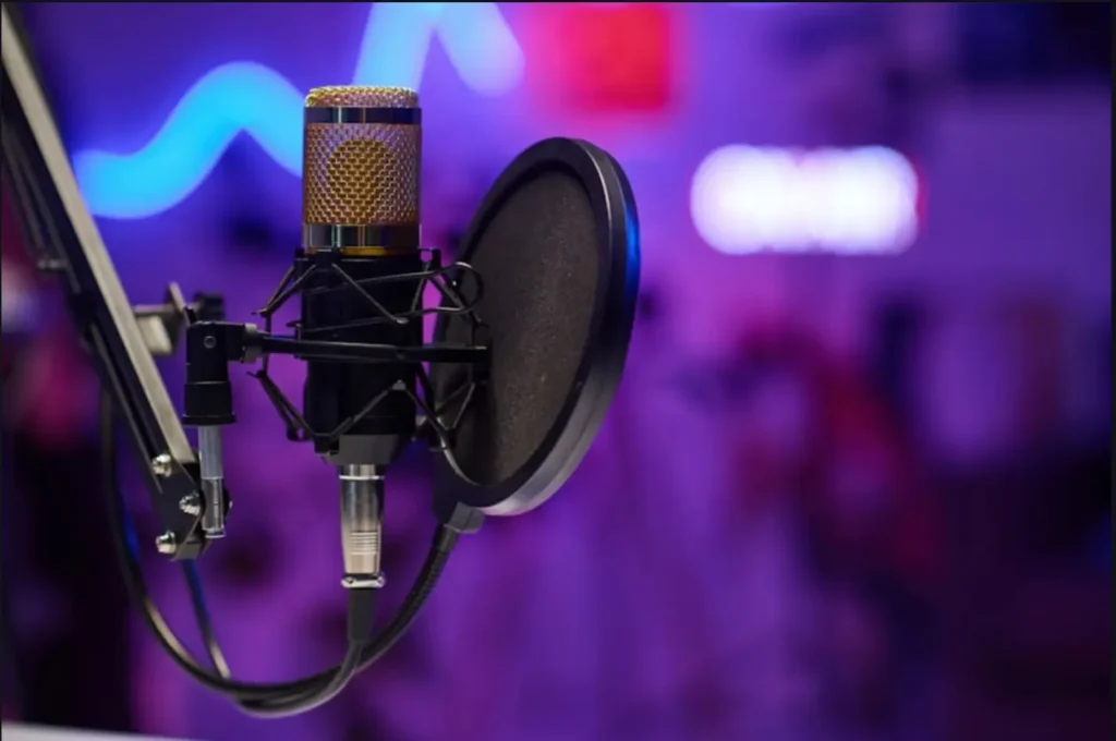 Professional voice-over and dubbing services in a high-end recording studio environment.
