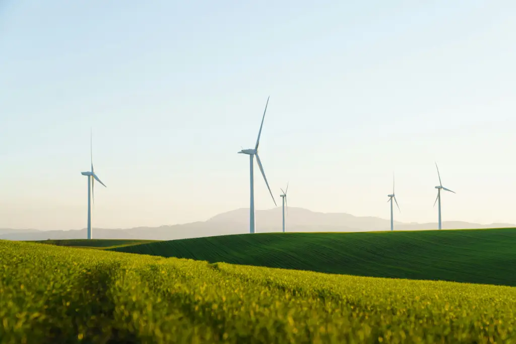 Wind turbines and solar panels representing renewable energy ESG reporting and sustainability localization