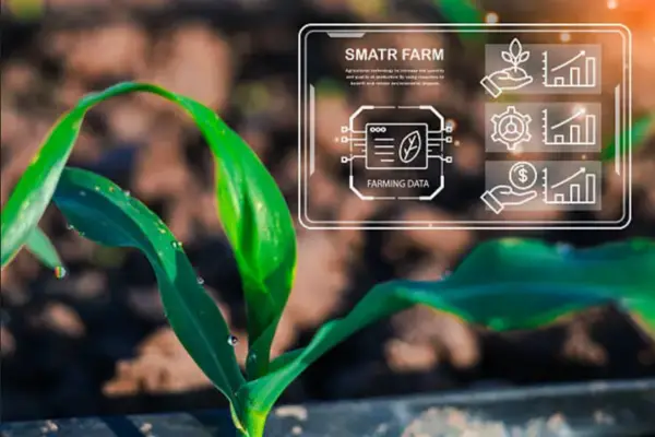 Smart farming system using multilingual agriculture translation services and localized data