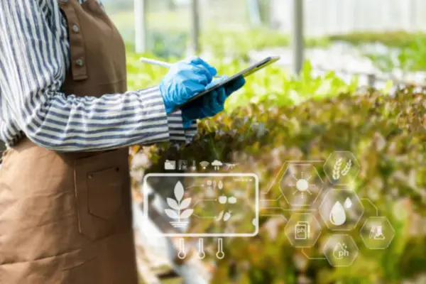 Agriculture translation services workflow with specialist reviewing crop data and reports