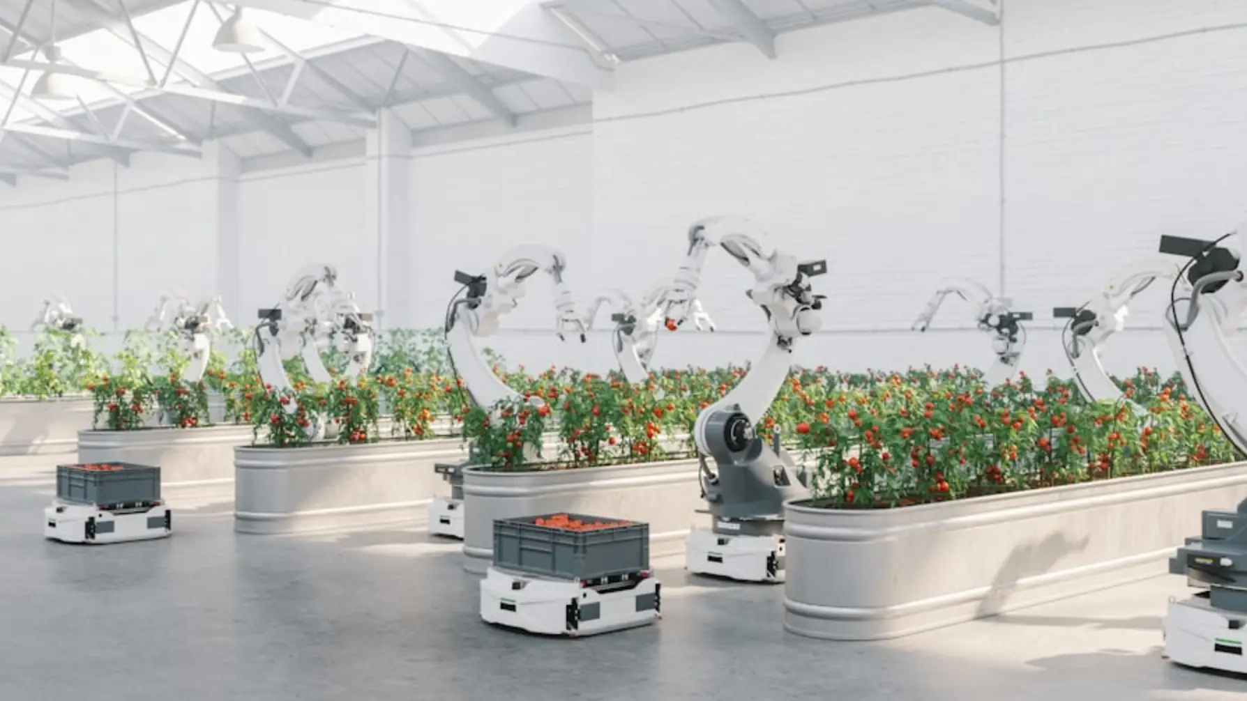 gritech localization for agricultural machinery and autonomous equipment displays